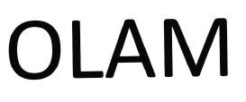 Trademark OLAM