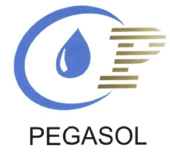 Trademark PEGASOL + LOGO