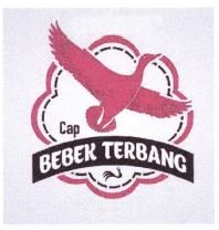 Trademark CAP BEBEK TERBANG + LUKISAN