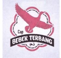 Trademark CAP BEBEK TERBANG + LUKISAN