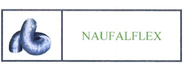 Trademark NAUFALFLEX + LUKISAN