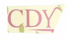 Trademark CDY + LOGO