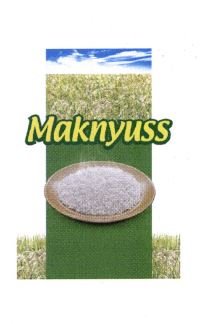 Trademark MAKNYUSS + LUKISAN