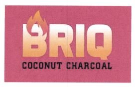 Trademark BRIQ COCONUT CHARCOAL