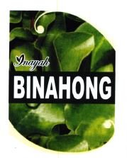 Trademark INAYAH BINAHONG + LUKISAN