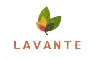 Trademark LAVANTE + LOGO