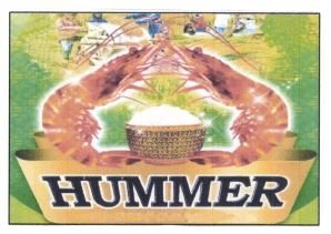 Trademark HUMMER + LOGO