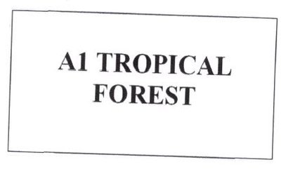 Trademark A1 TROPICAL FOREST