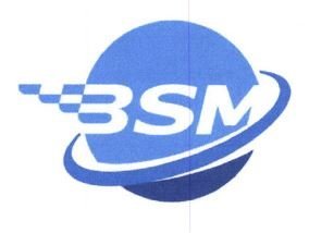 Trademark BSM