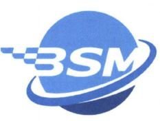 Trademark BSM