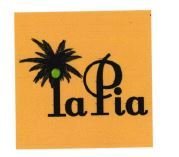 Trademark IAPIA