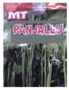 Trademark MT PANJALLU + LUKISAN