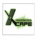 Trademark XCAPE + LOGO X