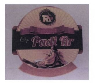 Trademark CAP PADI RR + LUKISAN