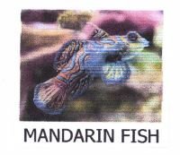 Trademark MANDARIN FISH + LUKISAN