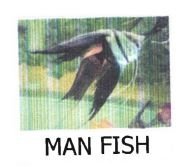 Trademark MAN FISH + LOGO