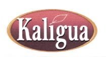 Trademark KALIGUA + LOGO