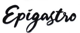 Trademark EPIGASTRO