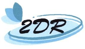 Trademark 2DR + LUKISAN/ ZDR+LUKISAN