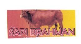 Trademark CAP SAPI BRAHMAN + LUKISAN