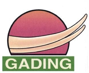 Trademark GADING + LOGO