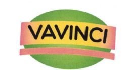 Trademark VAVINCI + LOGO