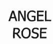 Trademark ANGEL ROSE