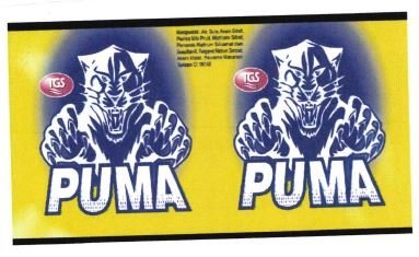 Trademark PUMA + LUKISAN