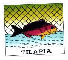 Trademark TILAPIA + LOGO