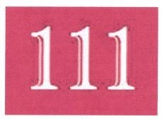 Trademark 111