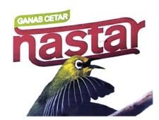 Trademark NASTAR + LOGO