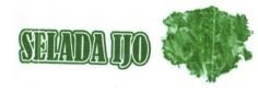 Trademark SELADA IJO + LOGO