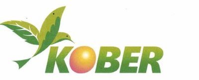 Trademark KOBER + LOGO