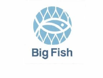 Trademark BIG FISH