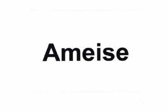 Trademark AMEISE