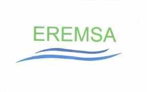 Trademark EREMSA LOGO