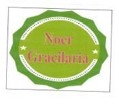 Trademark NOER GRACILARIA + LOGO