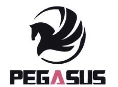 Trademark PEGASUS + LOGO