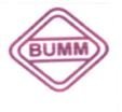 Trademark BUMM + LOGO