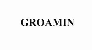 Trademark GROAMIN