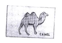 Trademark CAMEL + LOGO