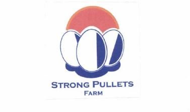 Trademark STRONG PULLETS FARM