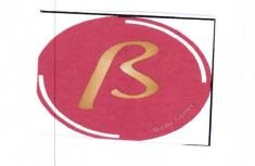 Trademark LOGO B