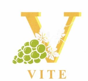 Trademark VITE+ LOGO