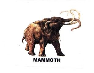 Trademark MAMMOTH + LUKISAN