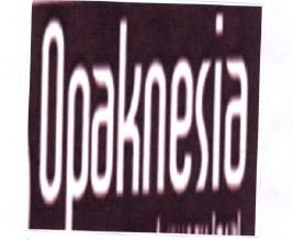 Trademark OPAKNESIA