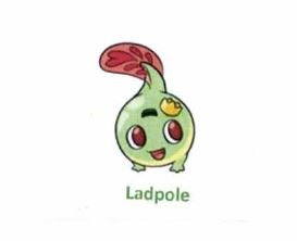 Trademark LADPOLE + LOGO