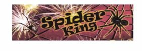 Trademark SPIDER KING + LOGO