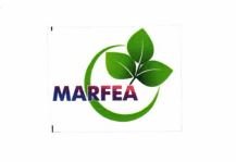 Trademark MARFEA + LOGO