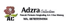 Trademark ADZRA COLLECTION + LOGO